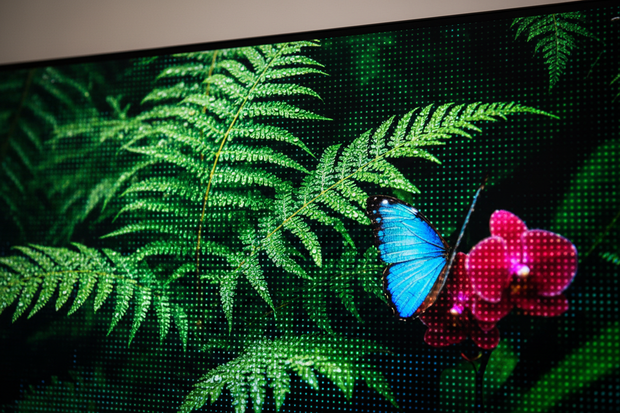 Banner image for: <h2>Crystal Clear. Stunning Picture. Perfect.</h2>